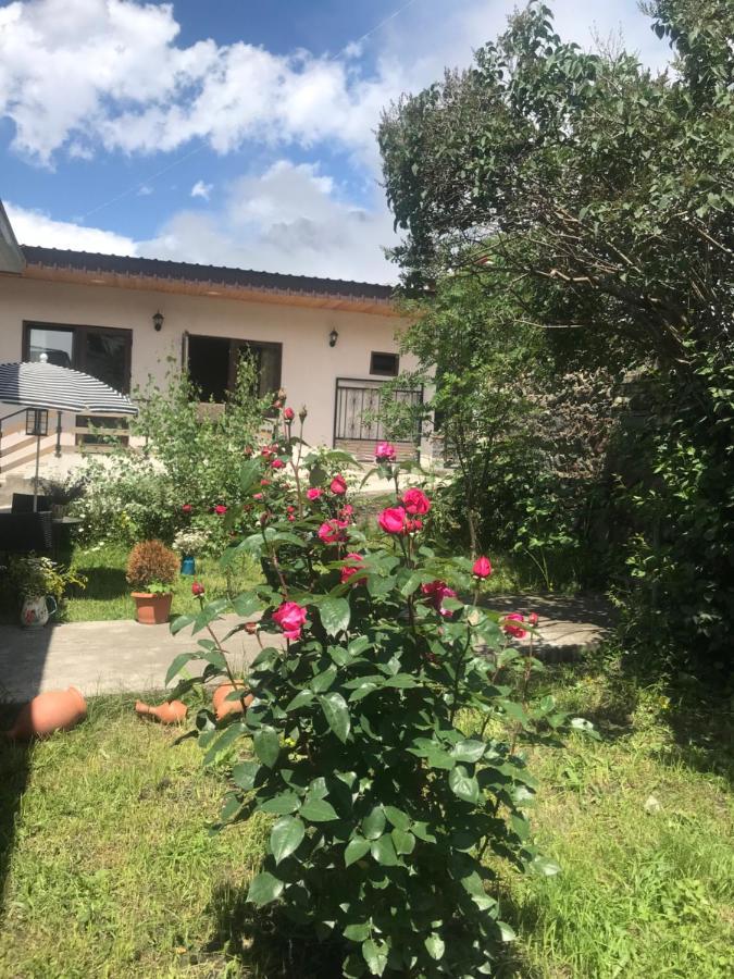 Soso Burduli'S Guesthouse Казбеги Екстериор снимка