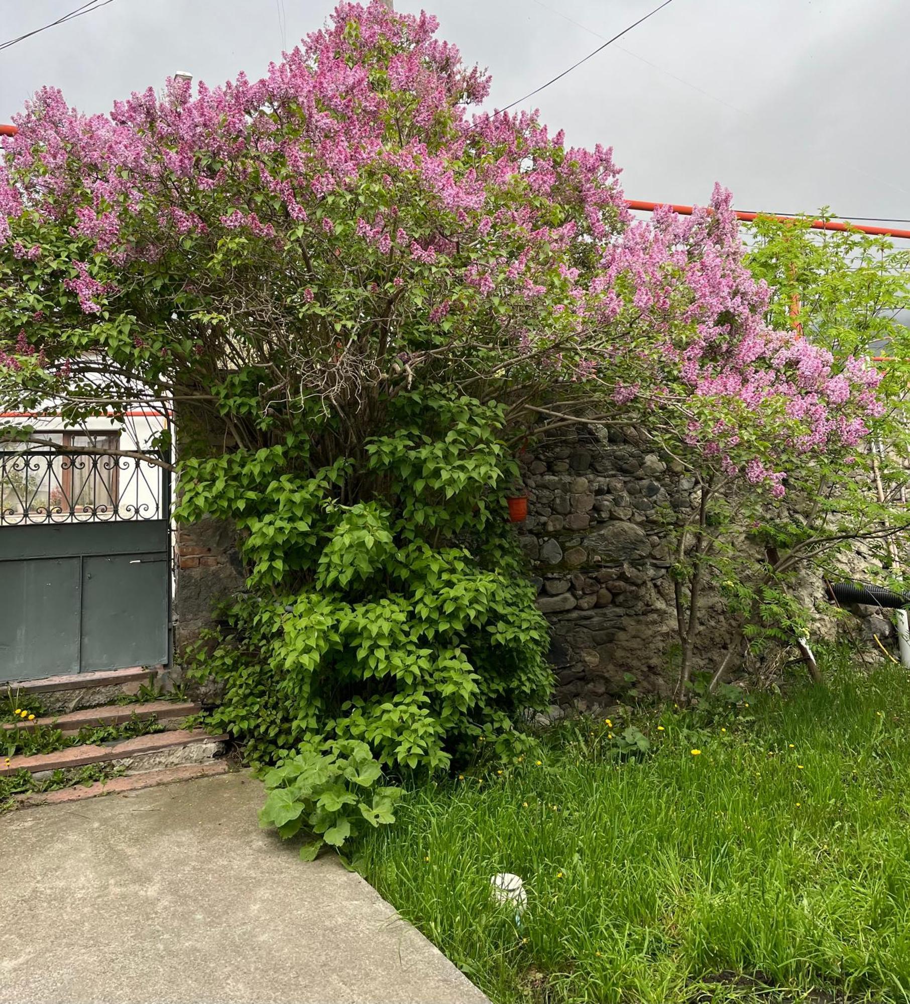 Soso Burduli'S Guesthouse Казбеги Екстериор снимка